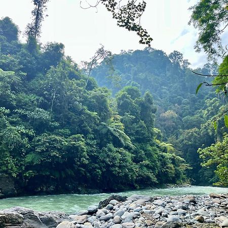 Charlys Little House Ξενοδοχείο Bukit Lawang Εξωτερικό φωτογραφία