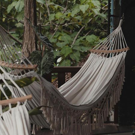 Charlys Little House Ξενοδοχείο Bukit Lawang Εξωτερικό φωτογραφία