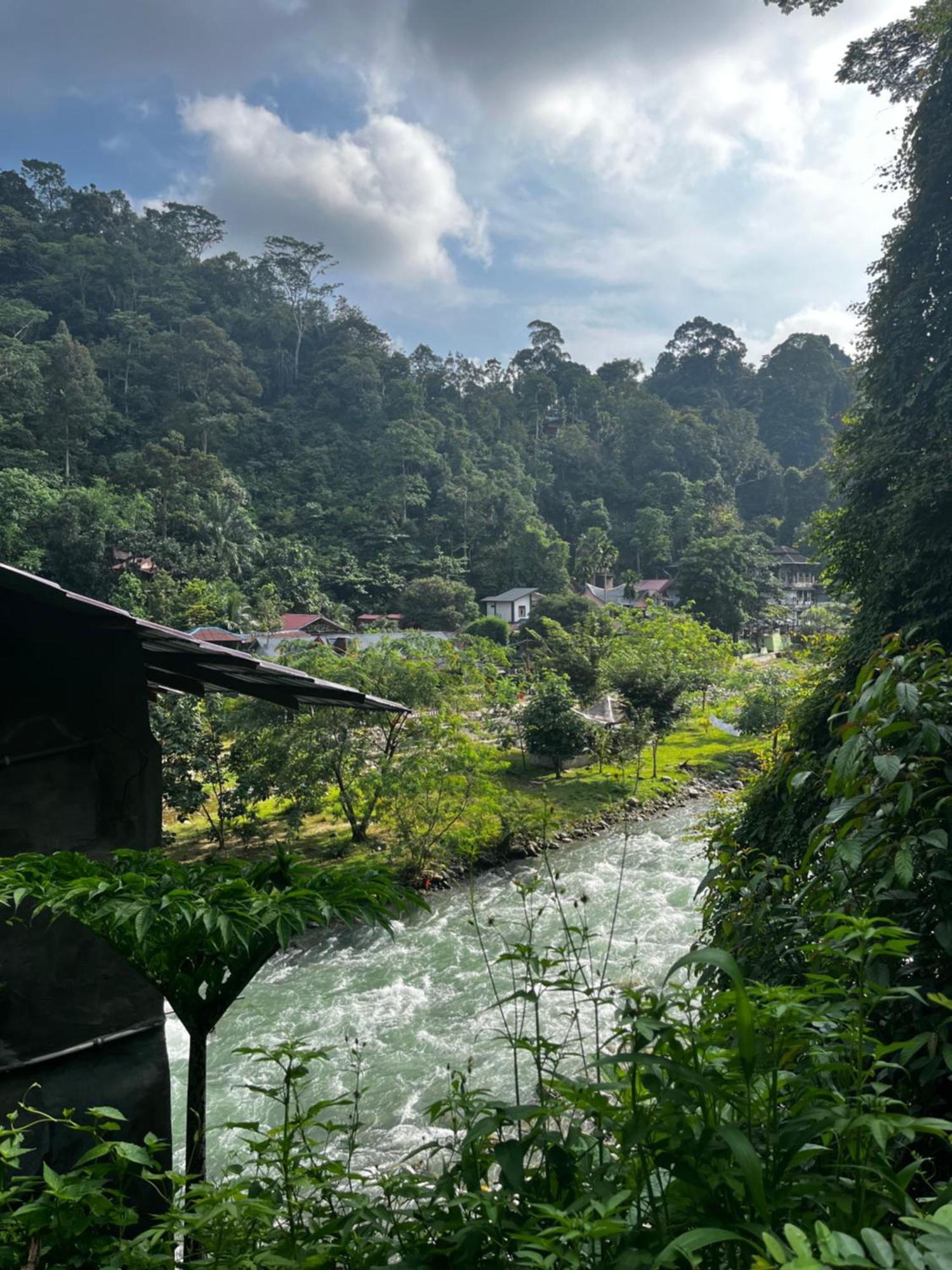 Charlys Little House Ξενοδοχείο Bukit Lawang Εξωτερικό φωτογραφία