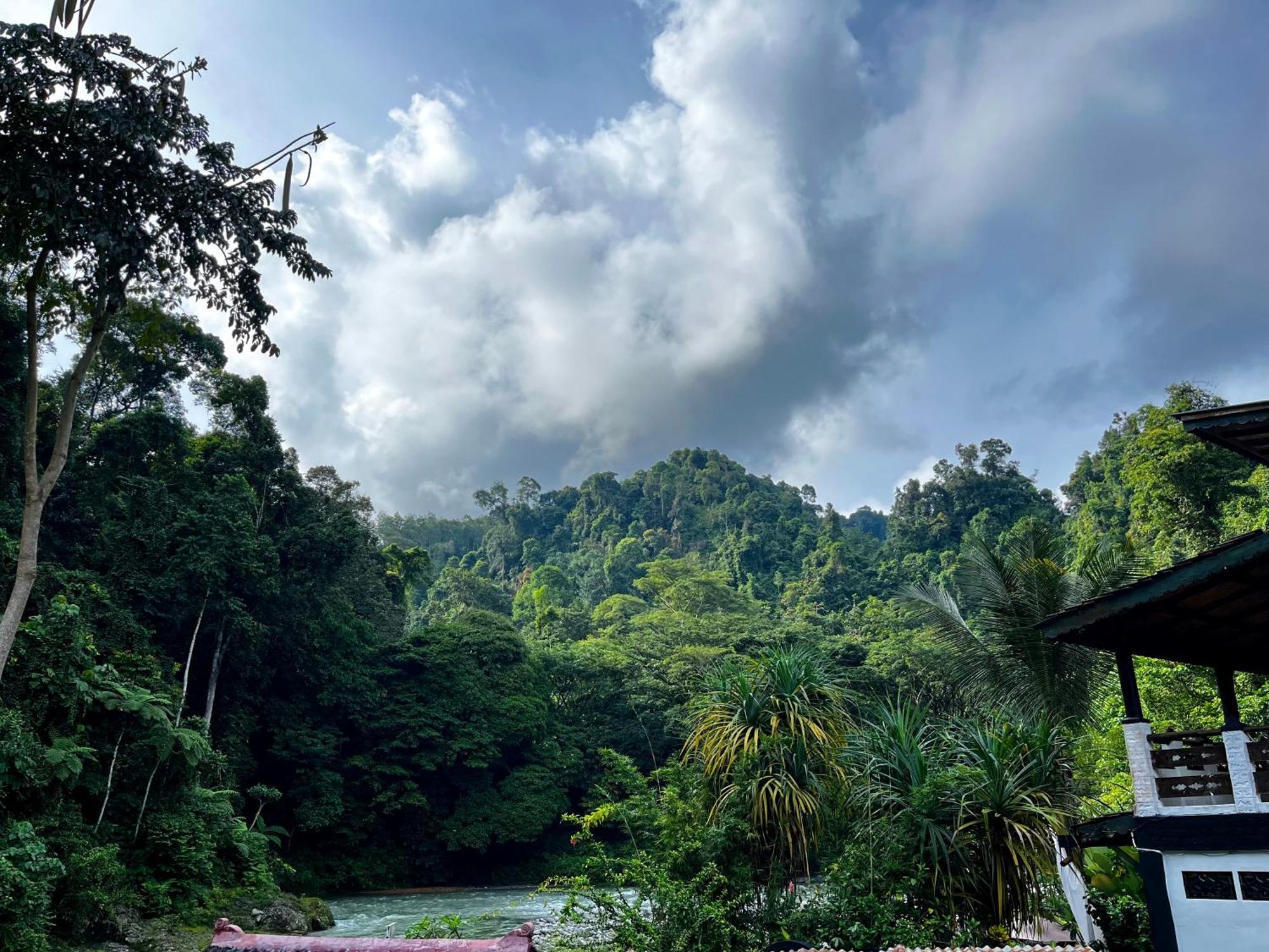 Charlys Little House Ξενοδοχείο Bukit Lawang Εξωτερικό φωτογραφία