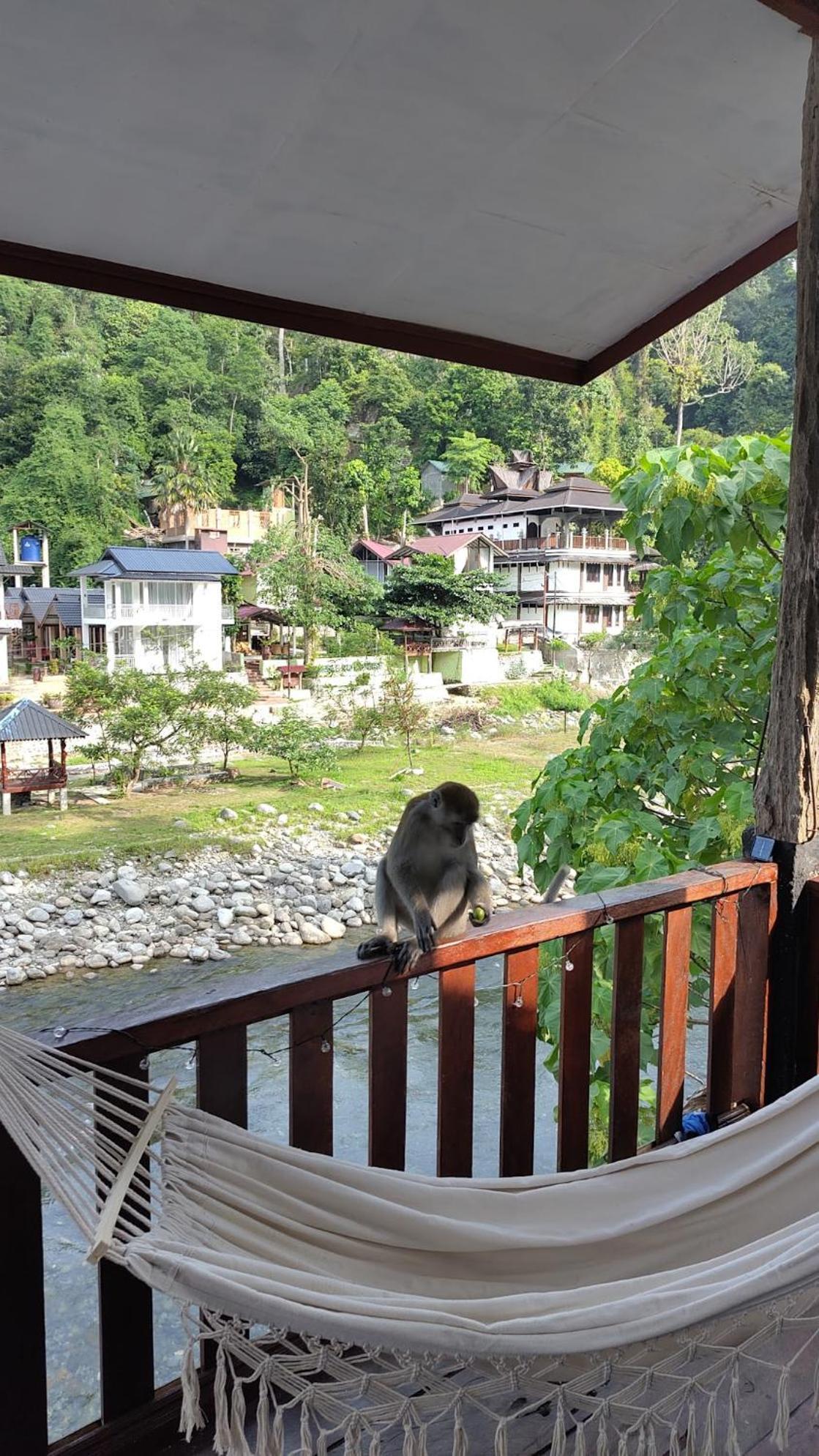 Charlys Little House Ξενοδοχείο Bukit Lawang Εξωτερικό φωτογραφία
