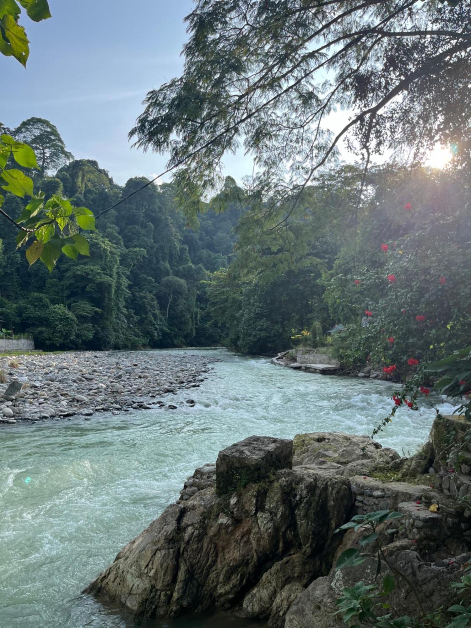 Charlys Little House Ξενοδοχείο Bukit Lawang Εξωτερικό φωτογραφία