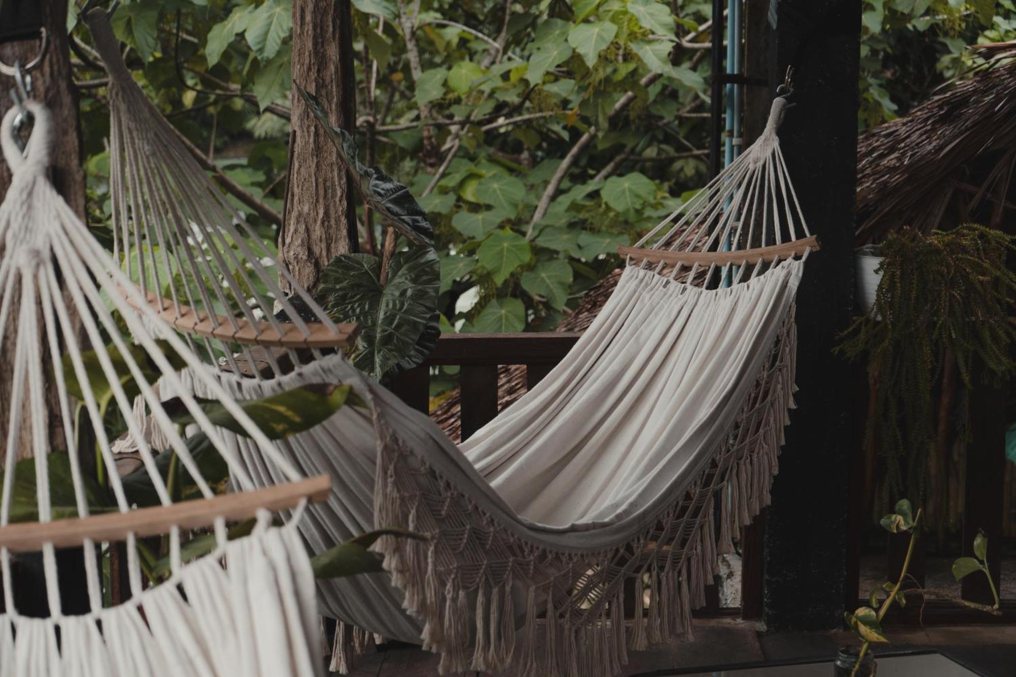 Charlys Little House Ξενοδοχείο Bukit Lawang Εξωτερικό φωτογραφία