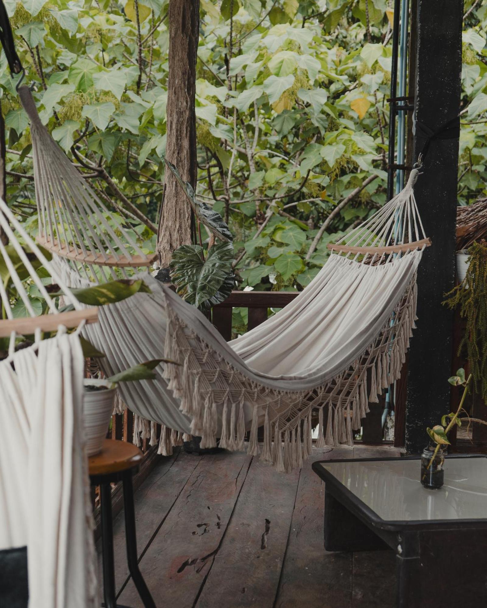 Charlys Little House Ξενοδοχείο Bukit Lawang Εξωτερικό φωτογραφία