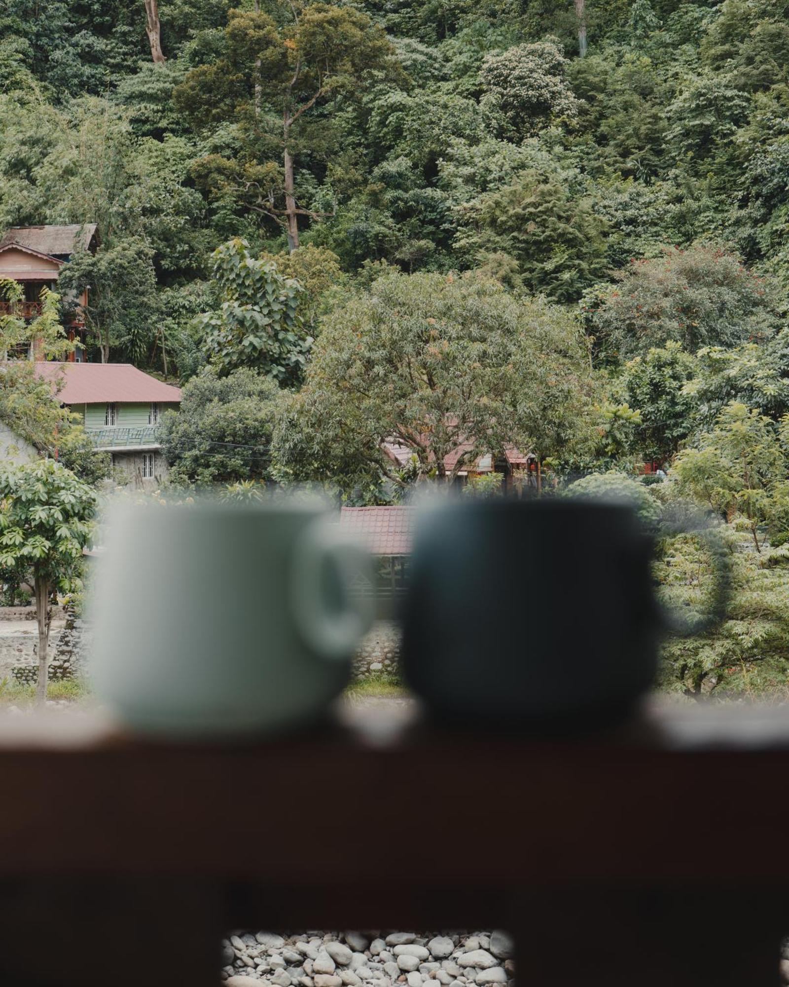 Charlys Little House Ξενοδοχείο Bukit Lawang Εξωτερικό φωτογραφία